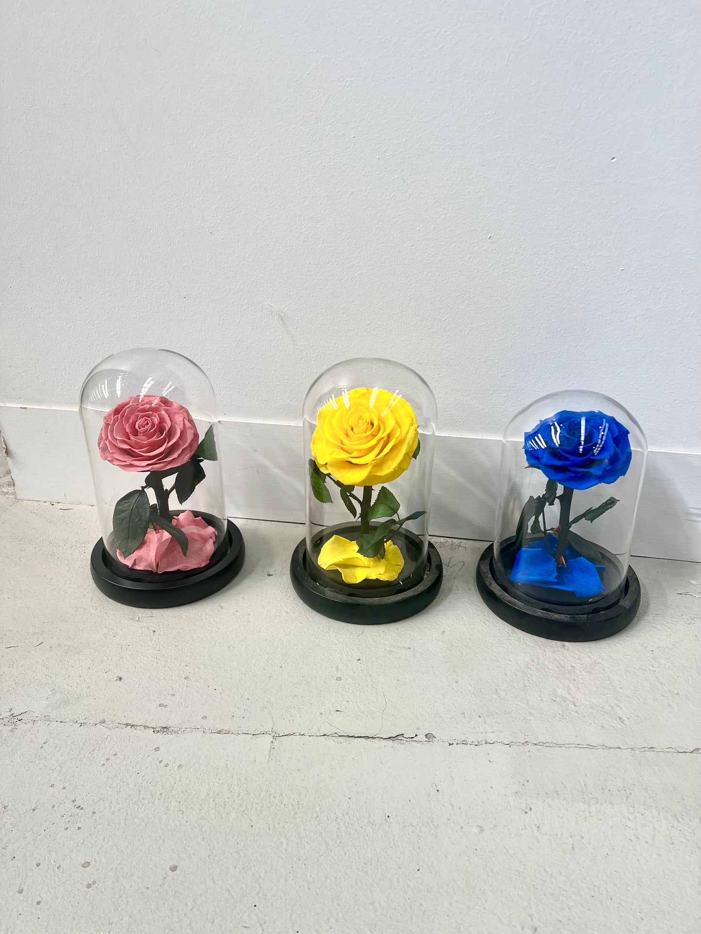 Mini Colored Rose Domes