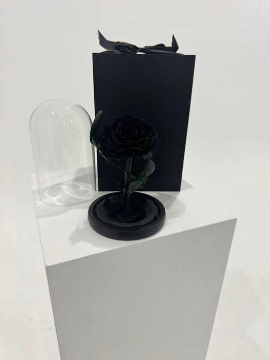 Black Dome Rose