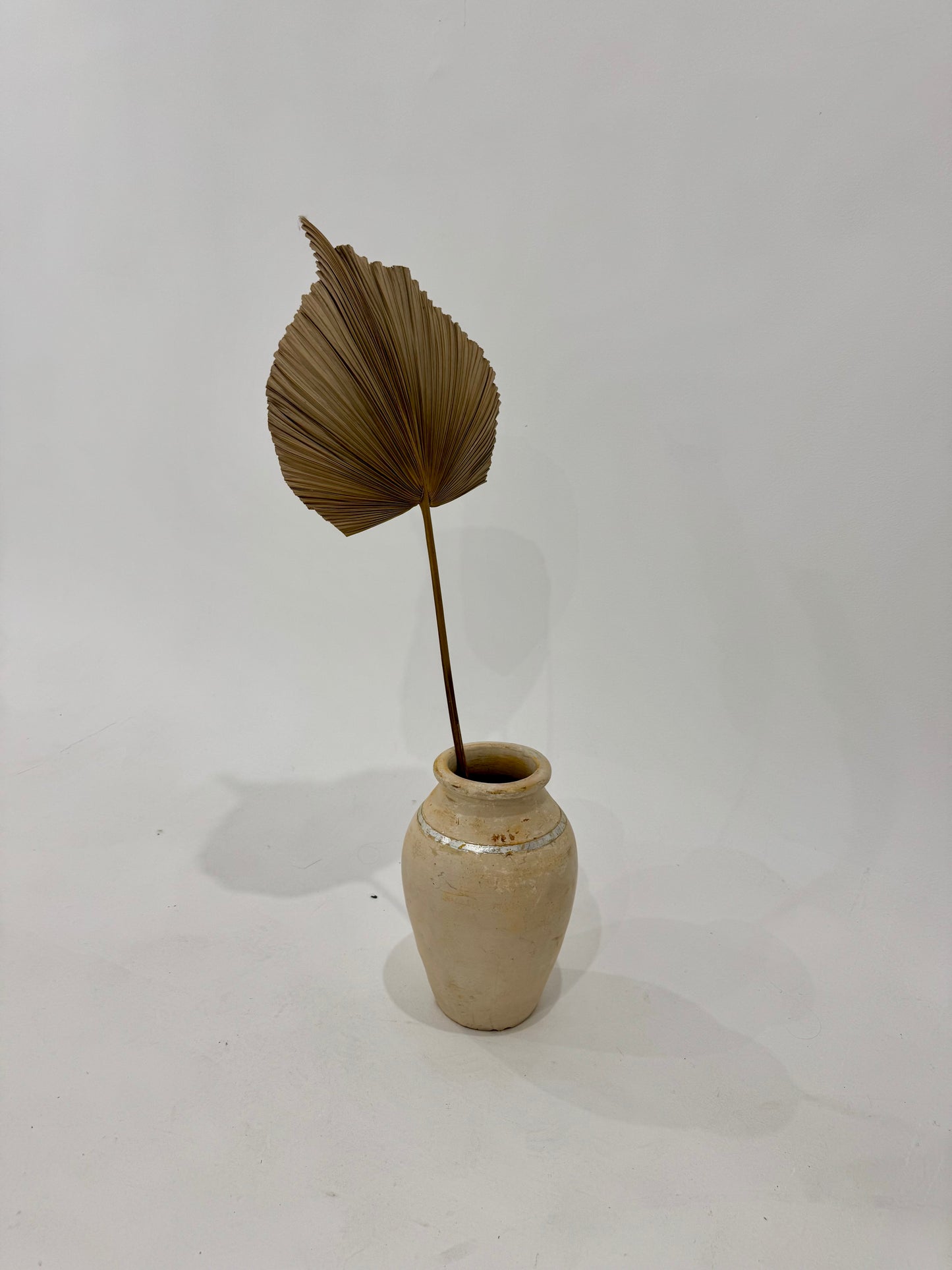 Dried Palm