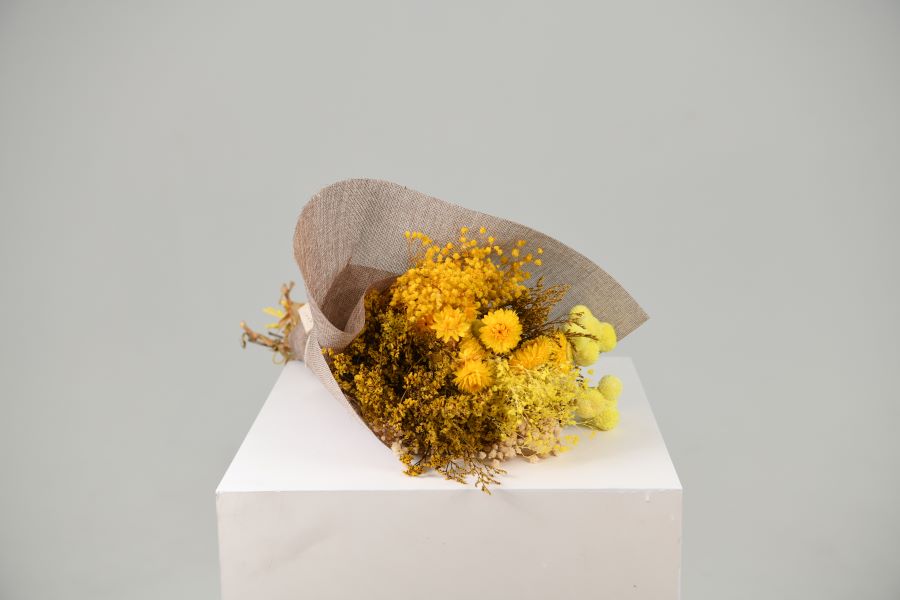 Dried Daisys