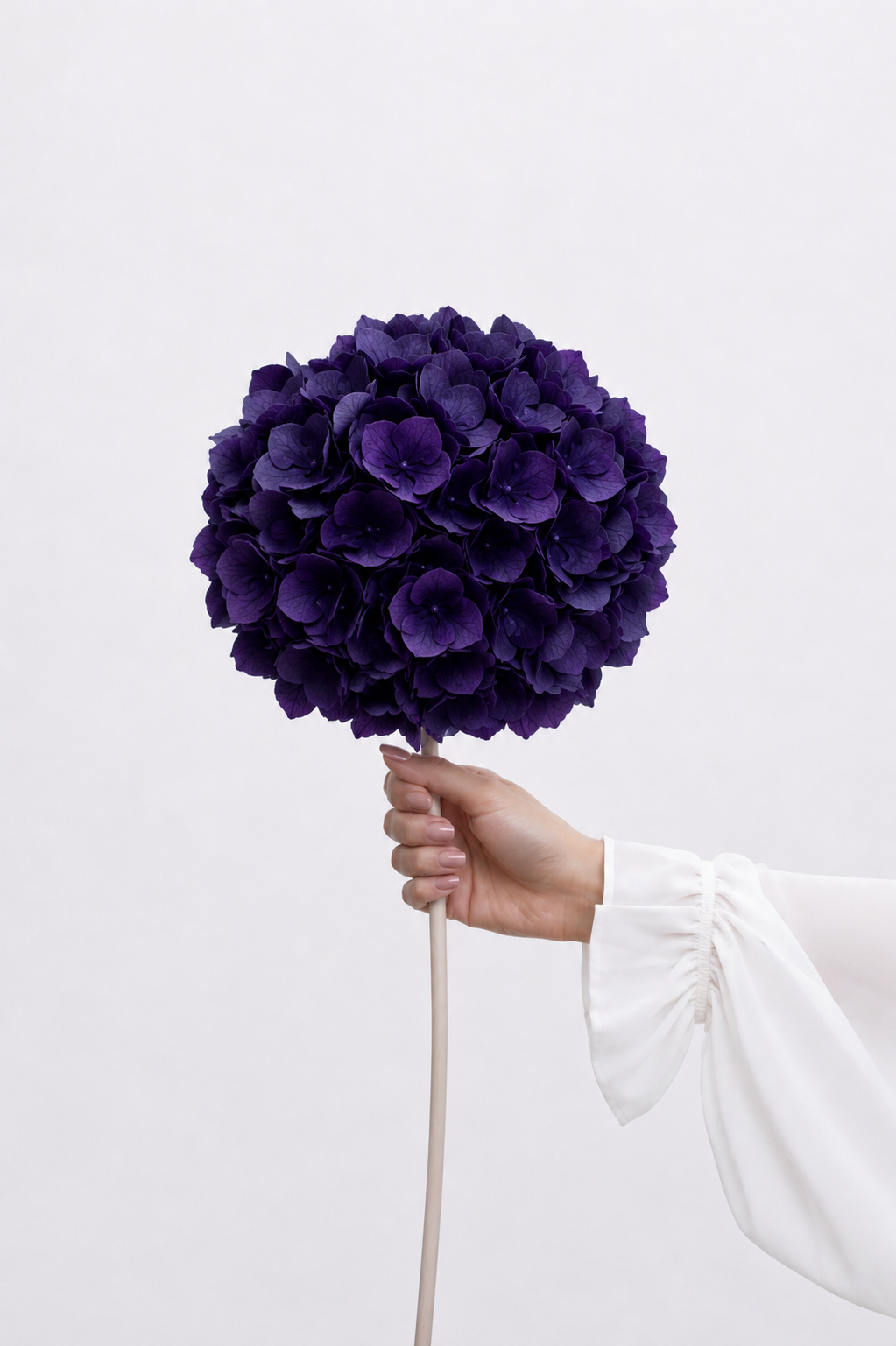 Hand holding a large purple dried flower against a light background