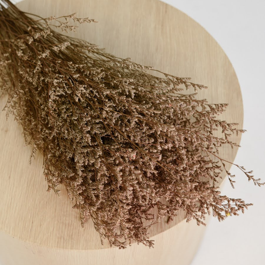 Limonium