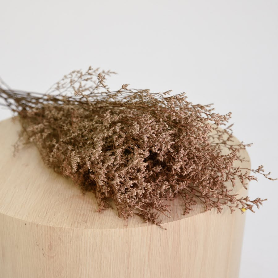 Limonium