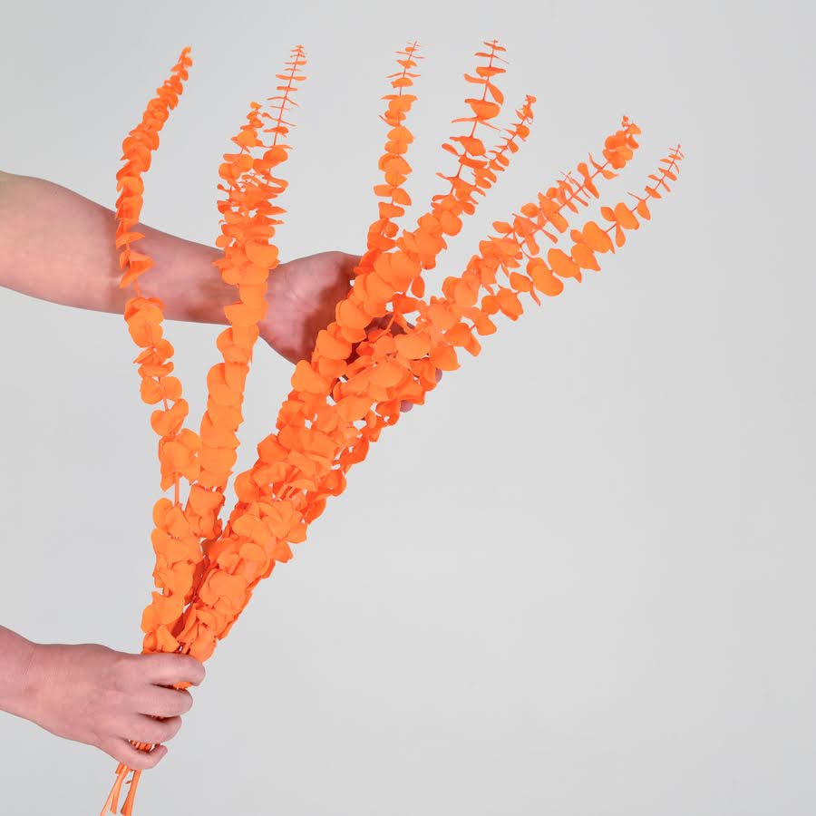 Vibrant Preserved Gum