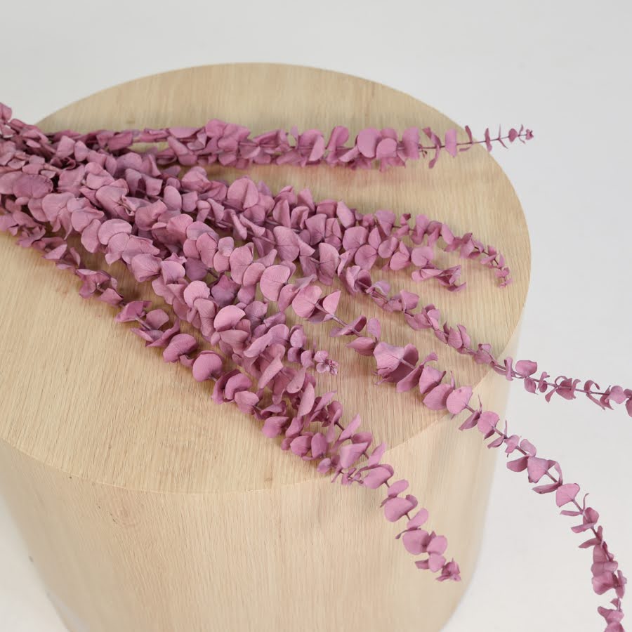 Pastel Preserved Gum