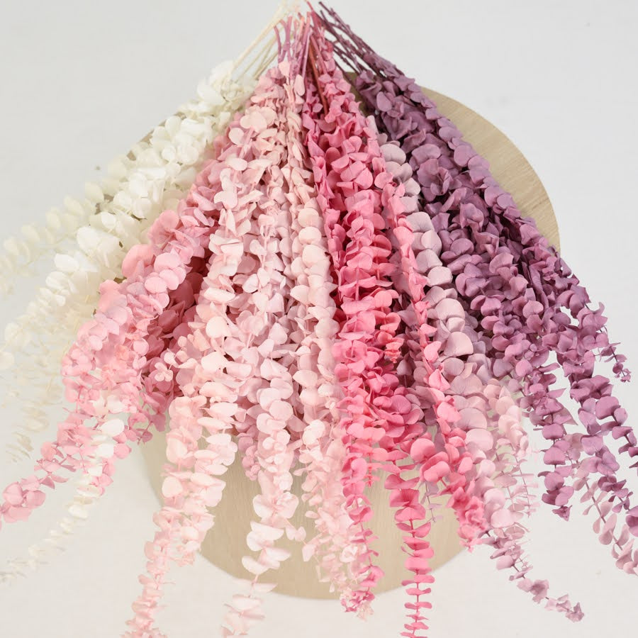 Pastel Preserved Gum