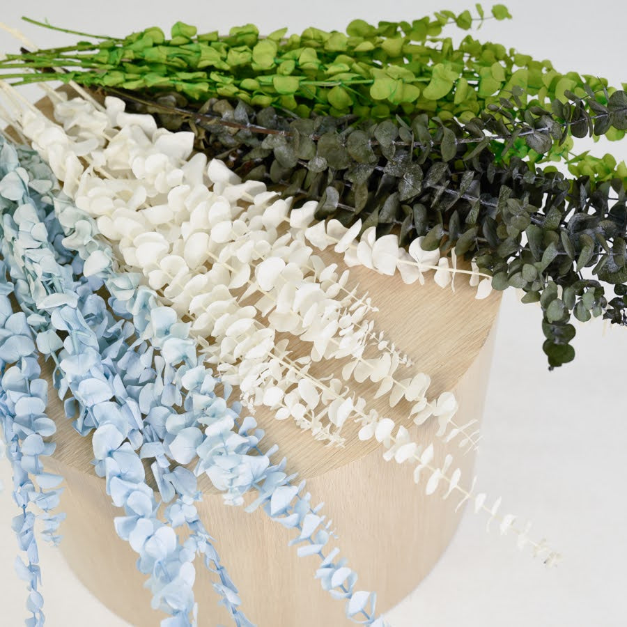 Vibrant Preserved Gum