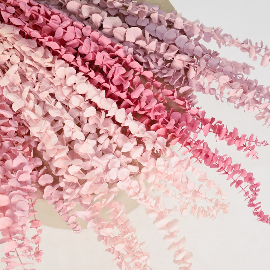 Pastel Preserved Gum