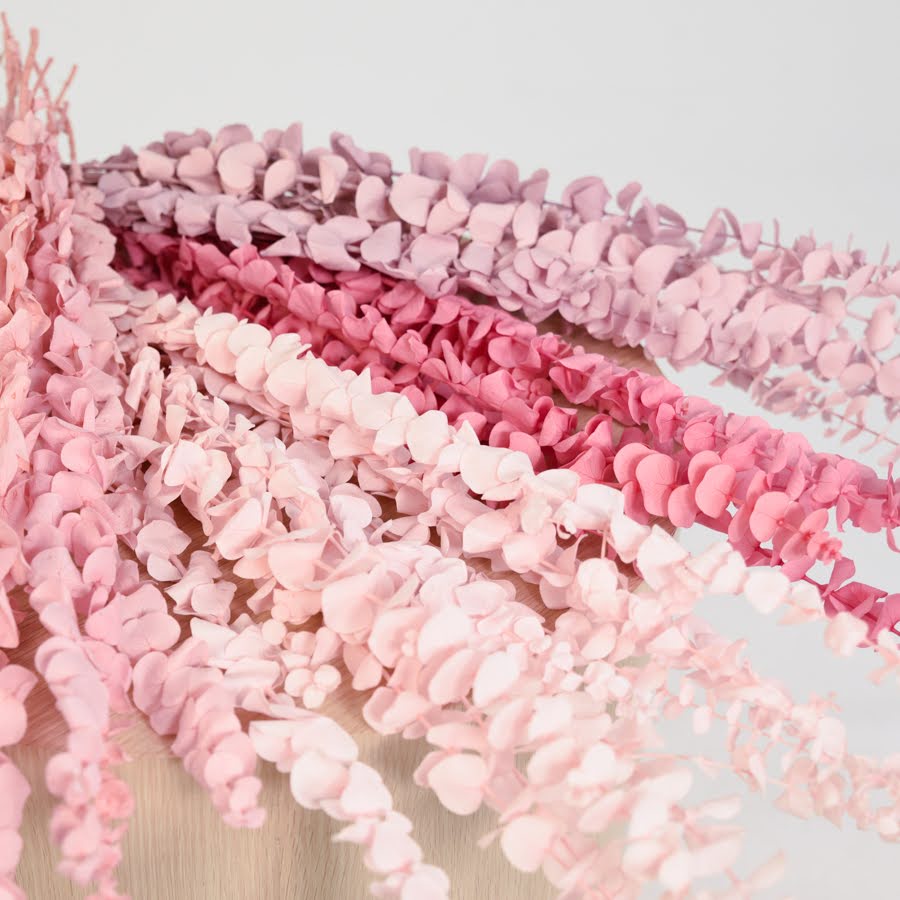 Pastel Preserved Gum