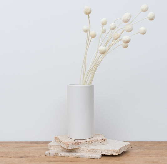 Billy Buttons in a white vase