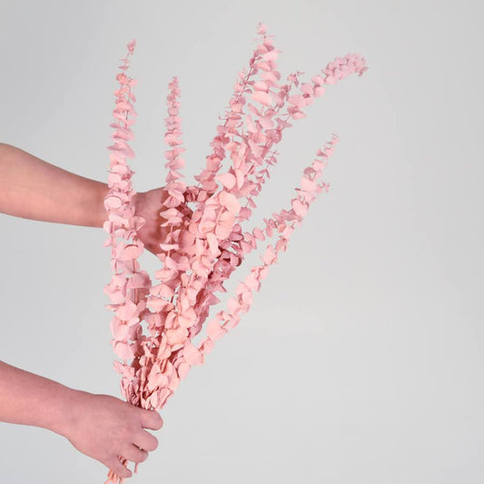 Pastel Preserved Gum