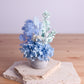 mini blue flowers