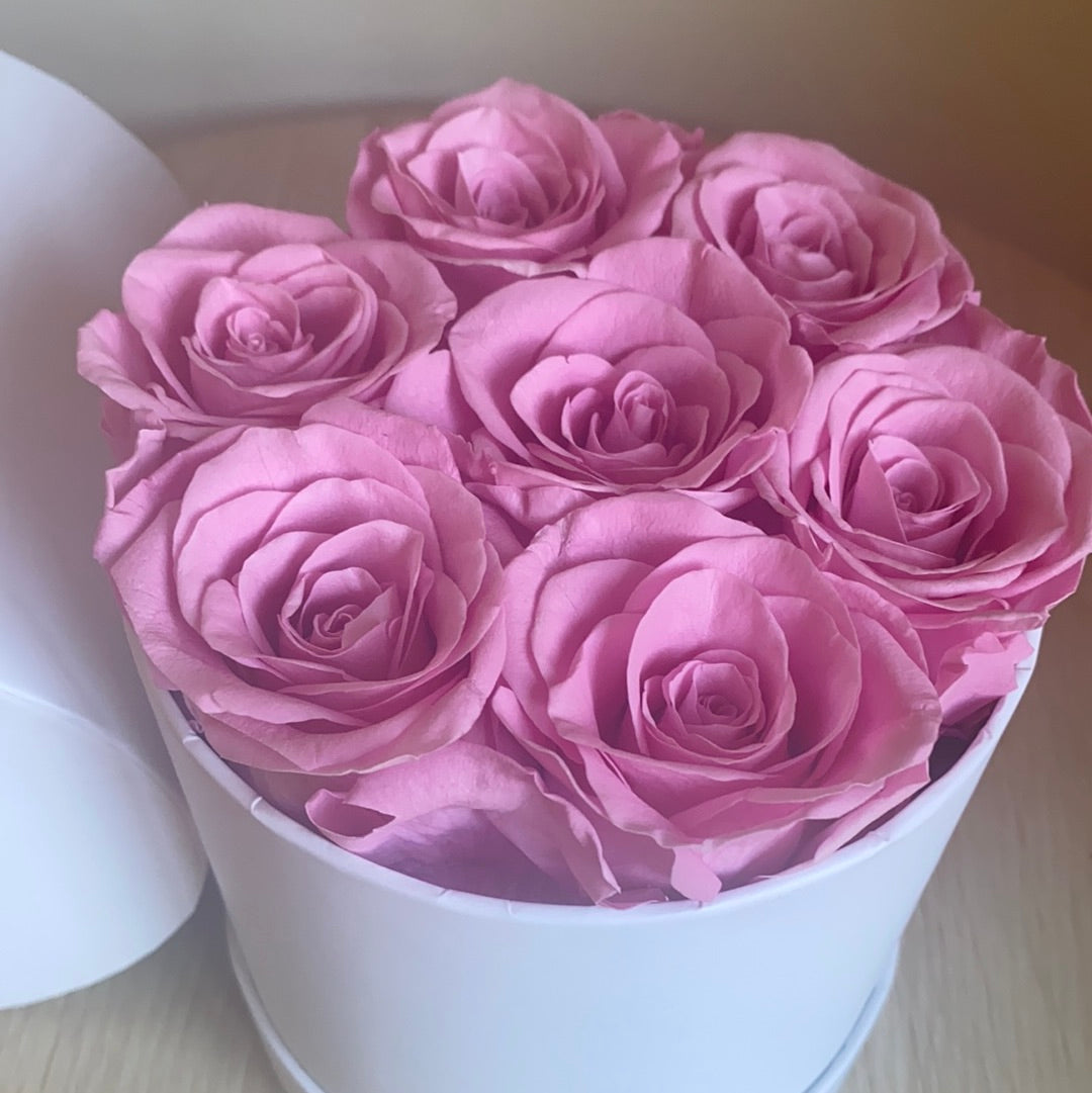 Small pink everlasting box