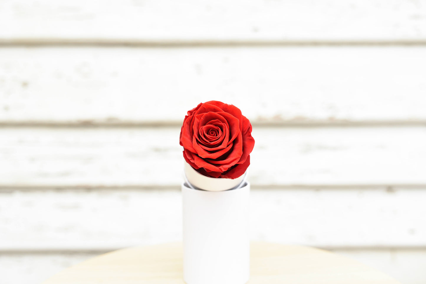 Single Everlasting Red Rose