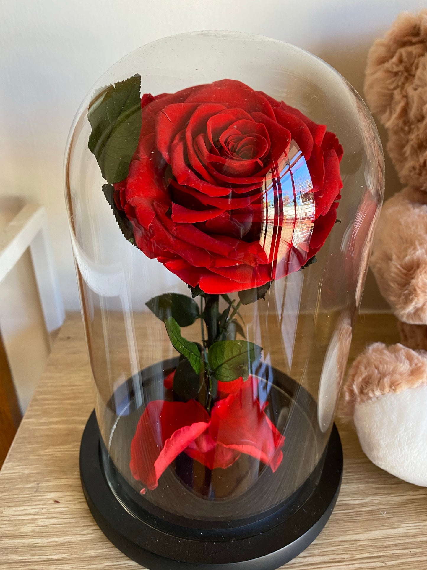 Everlasting Dome Rose