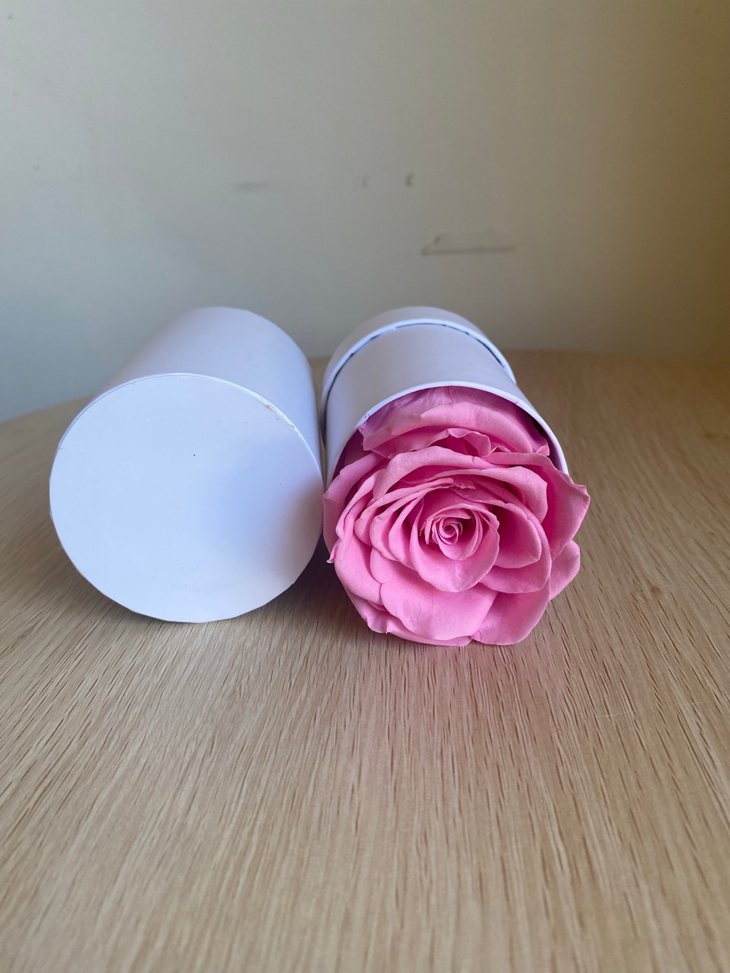 Pink Single Everlasting Rose