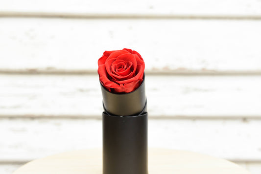 Single Everlasting Red Rose