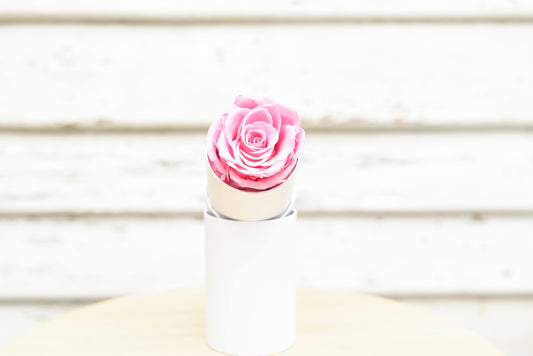 Pink Single Everlasting Rose