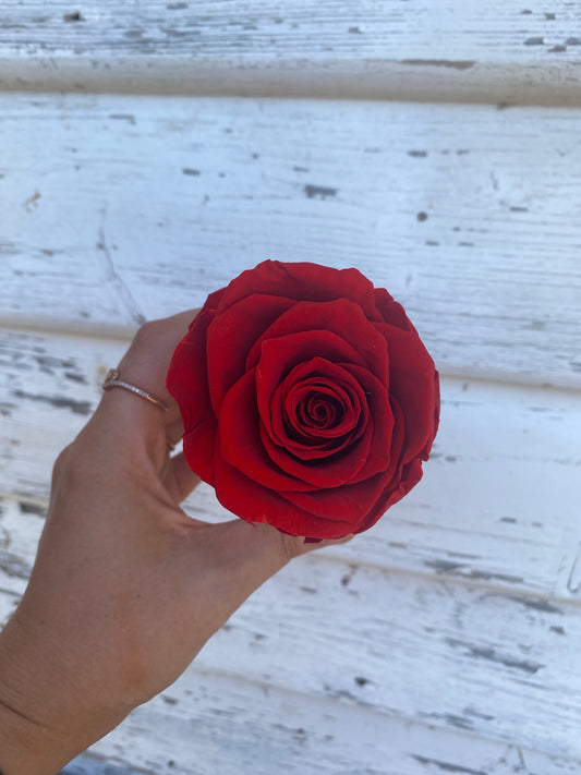 Single Everlasting Red Rose