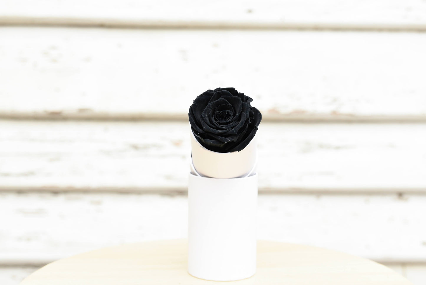 Black Everlasting Rose - Single