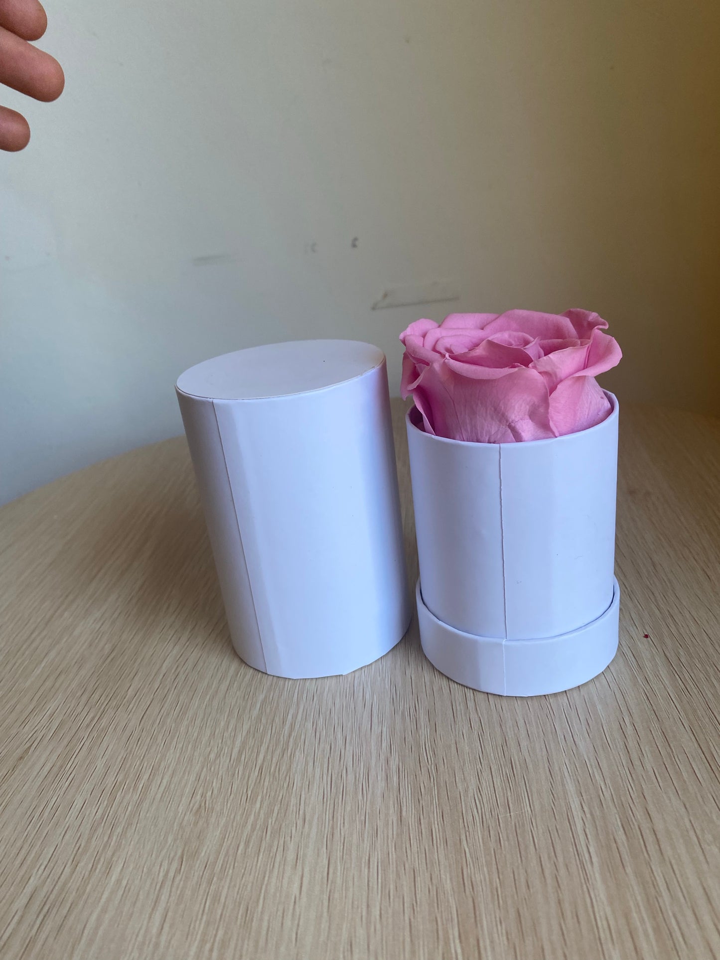 Pink Single Everlasting Rose