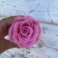 Pink Single Everlasting Rose