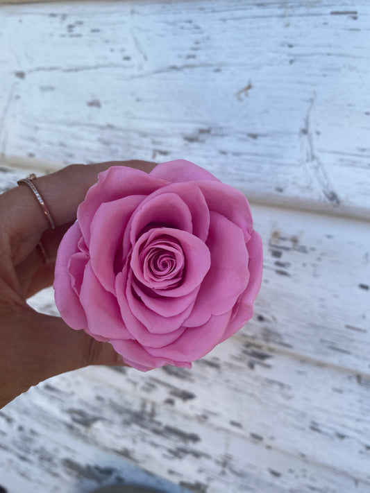 Pink Single Everlasting Rose