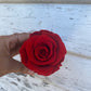 Single Everlasting Red Rose