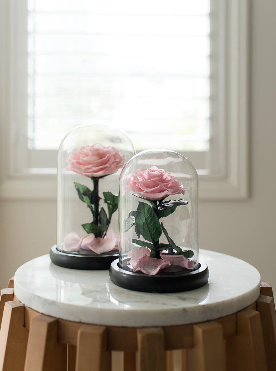 Pink Everlasting Dome Rose