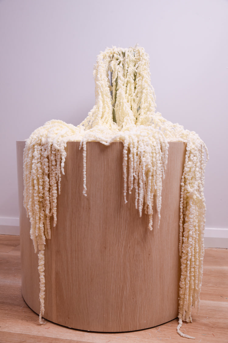 Preserved Amaranthus