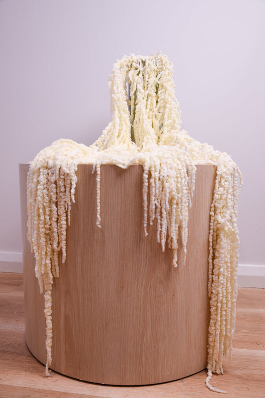 Preserved Amaranthus