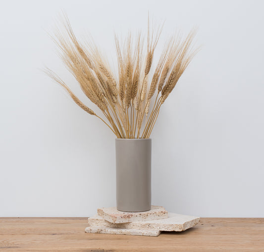 Dried Wheat Stems