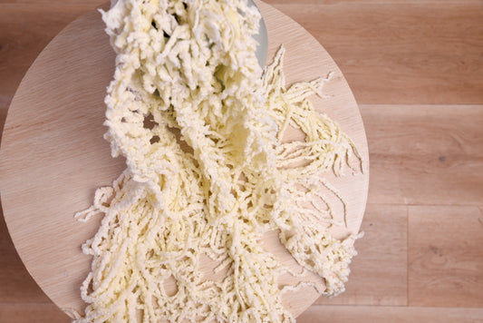 Preserved Amaranthus