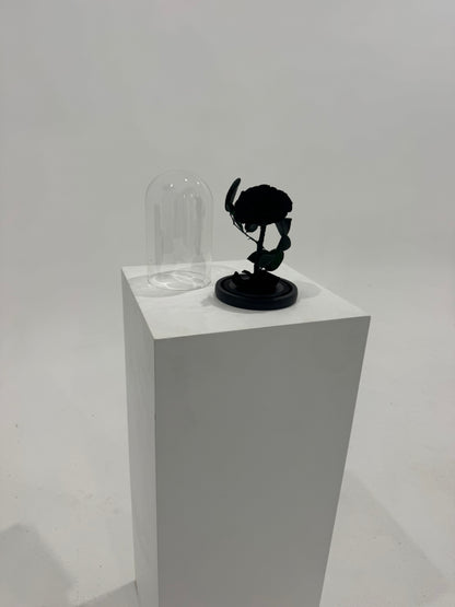 Black Dome Rose