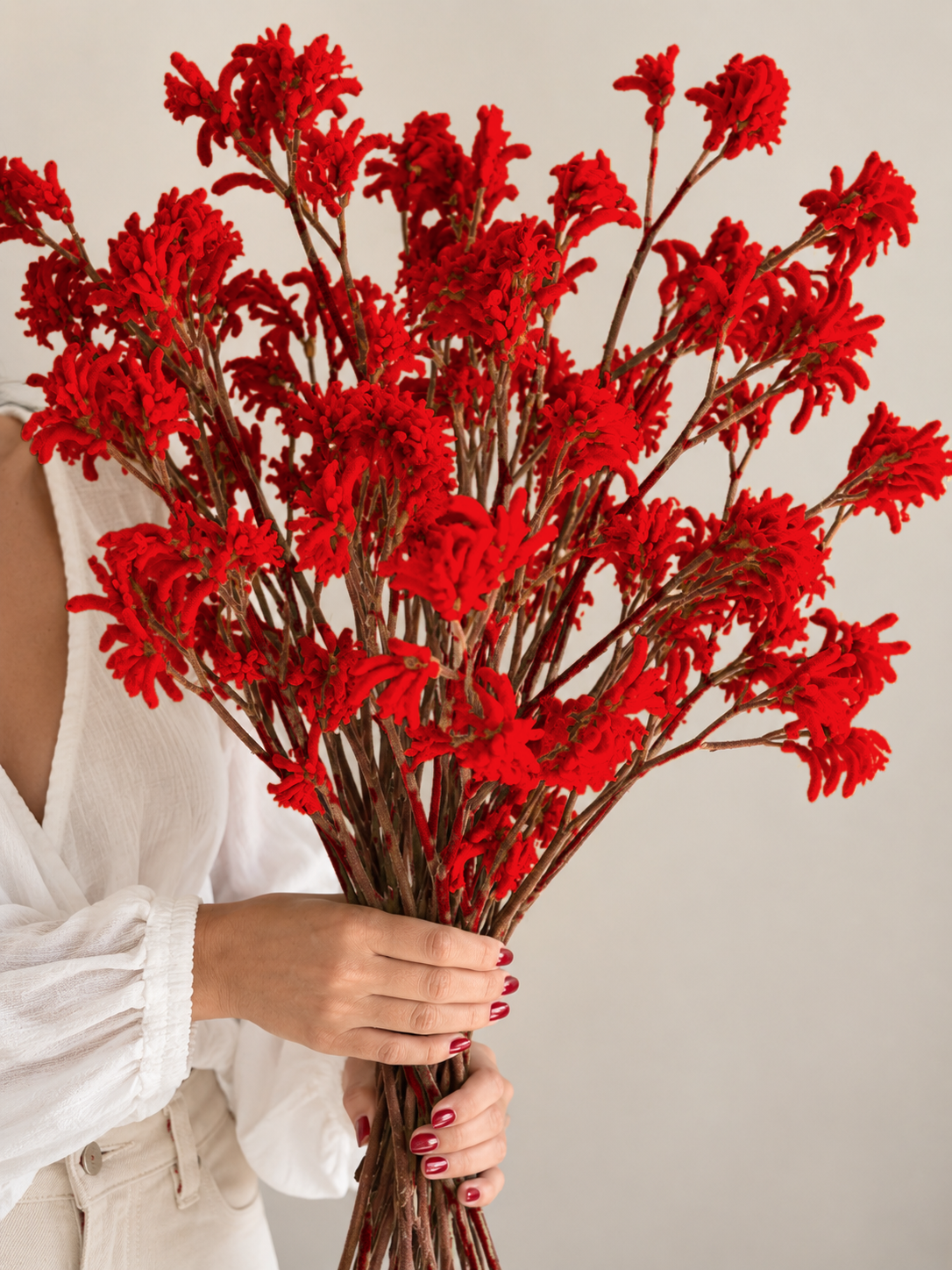 Dried Kangaroo Paw