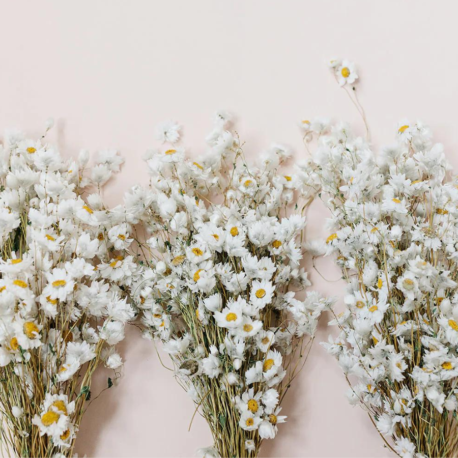 Daisy Bouquet