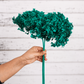 Emerald Green preserved hydrangea stem on white background