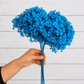 Vibrant Blue preserved hydrangea stem on white background