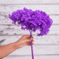 Vibrant Lilac preserved hydrangea stem on white background