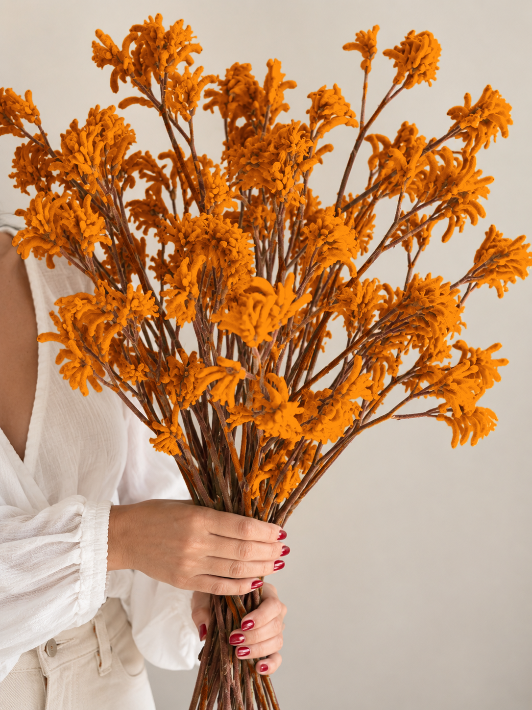 Dried Kangaroo Paw