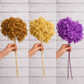 photo of 3 different color preserved hydrangea stem on white background