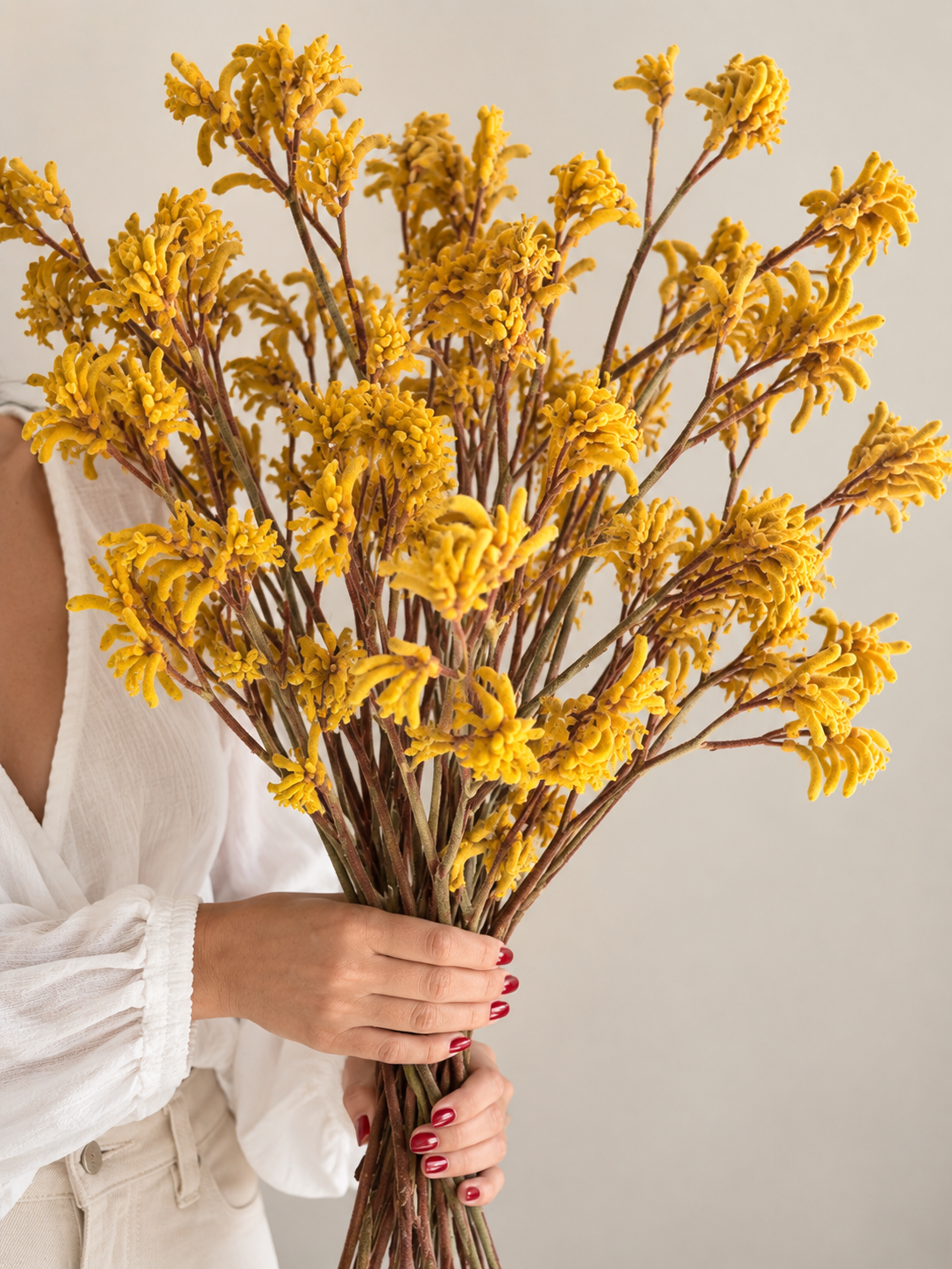 Dried Kangaroo Paw