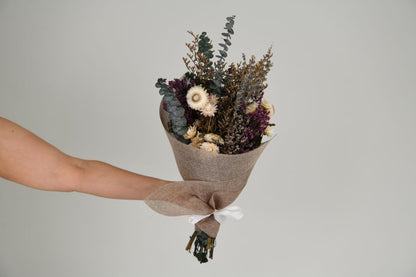 Dried Daisys