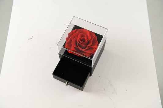 Everlasting Rose in Draw