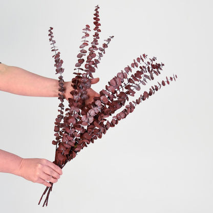 Dried eucalyptus
