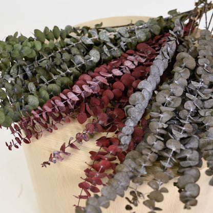 Dried eucalyptus