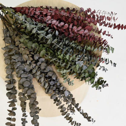 Dried eucalyptus