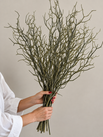 Dried Reindeer Wattle
