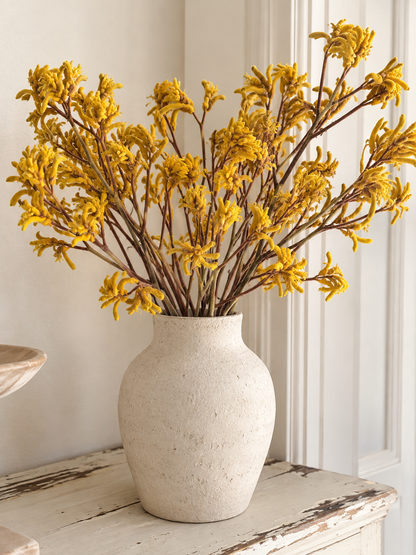 Dried Kangaroo Paw
