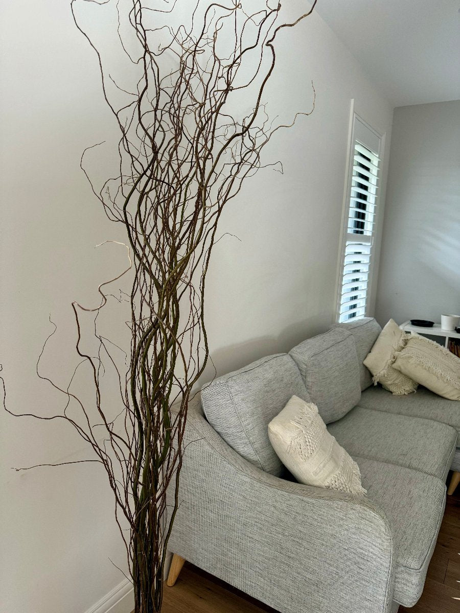 willow twigs in room